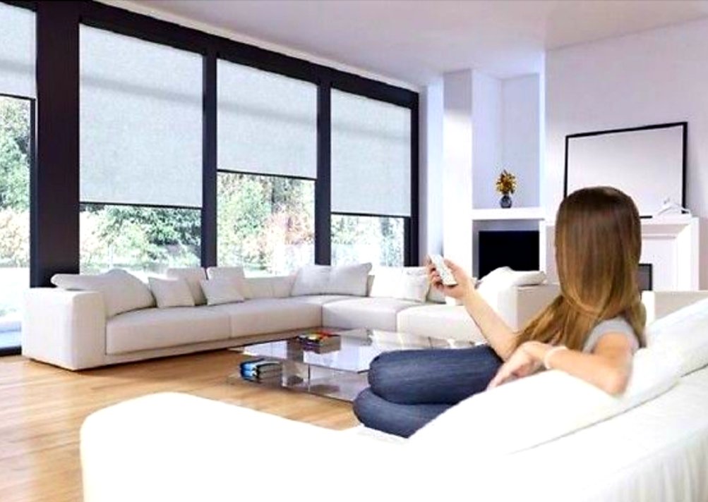 Động cơ rèm Forest này có bộ chuyển đổi điện tích hợp và chỉ cần cáp chính