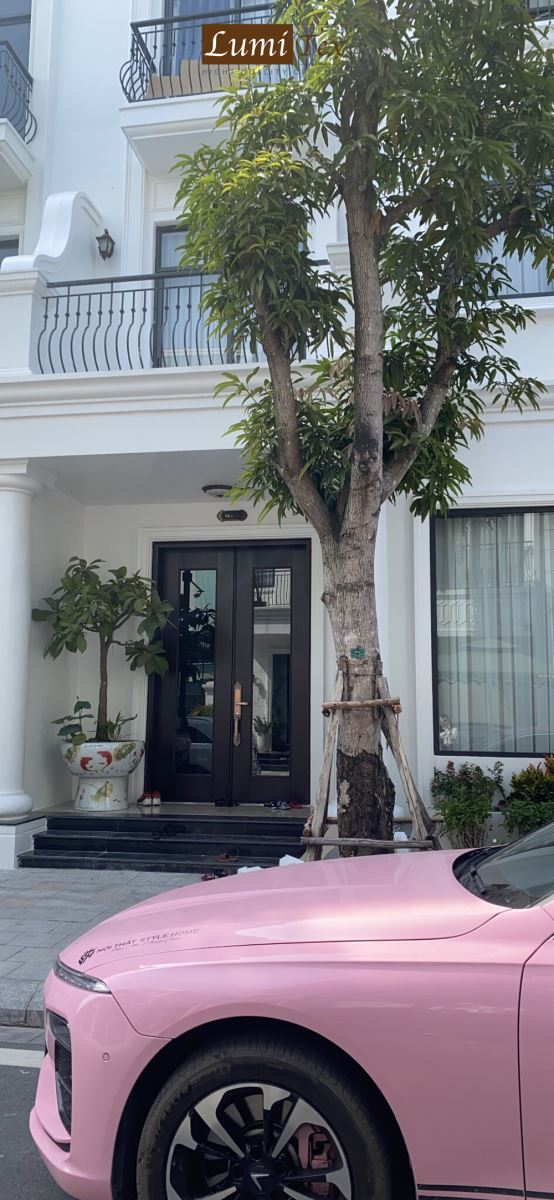 lắp dặt rèm cửa cao cấp