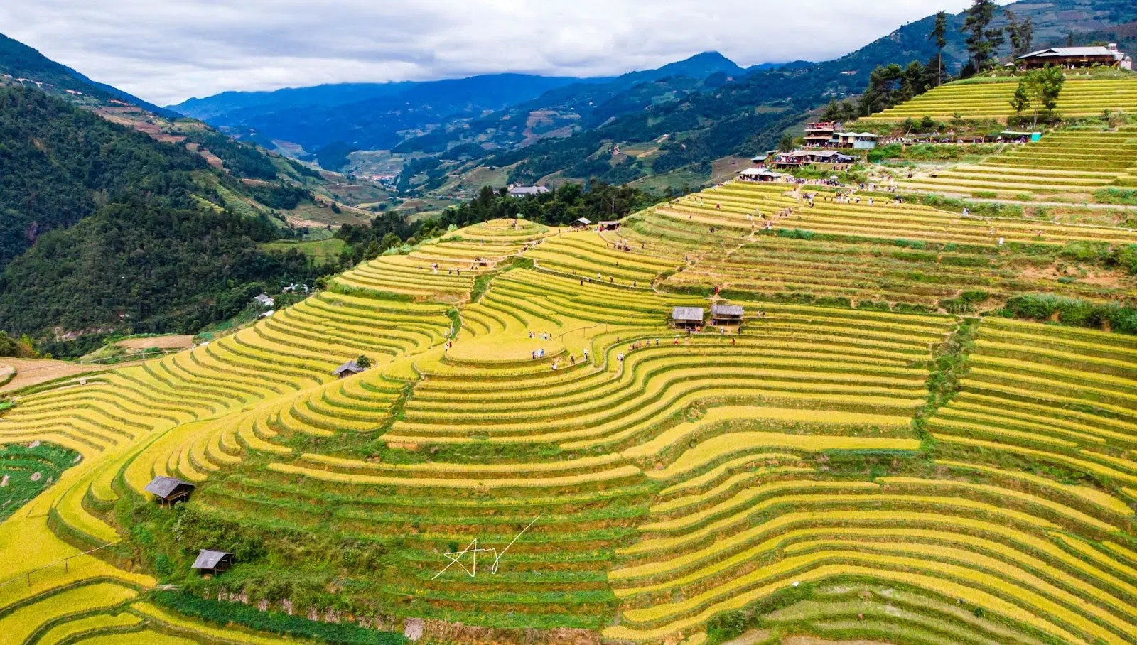 Đoàn KTS có cơ hội ngắm nhìn ruộng bậc thang Mù Cang Chải -  Danh thắng kết tinh từ bàn tay lao động