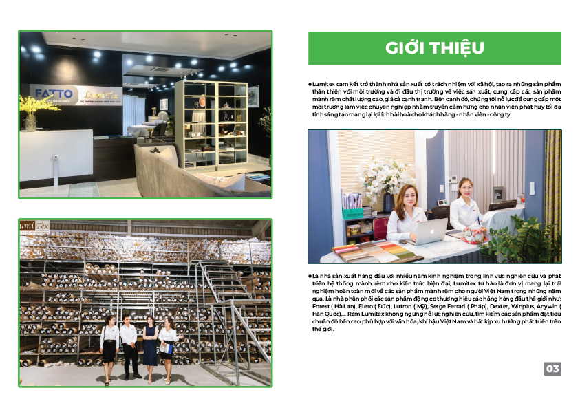 Hồ sơ năng lực Công ty Cổ phần Lumitex Việt Nam