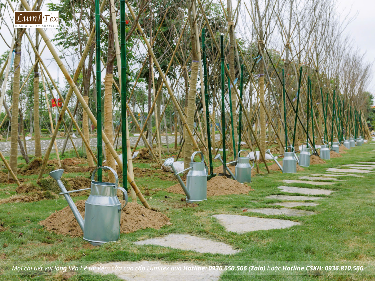 Hội Doanh nhân trẻ Hải Phòng đồng hành cùng Lễ trồng cây 2026 “Sắc Anh Đào – Nhịp cầu hữu nghị”